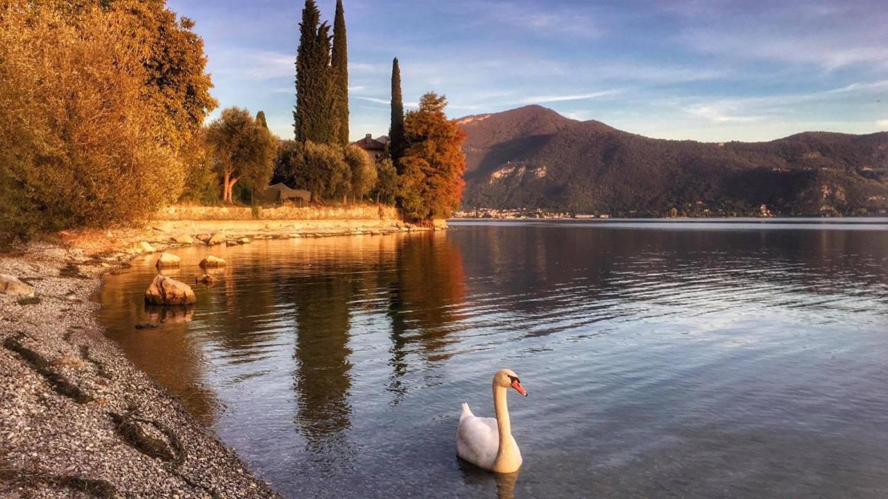 Appartamento Irina'S House With View On Like And Swimming Pool Riva di Solto Esterno foto
