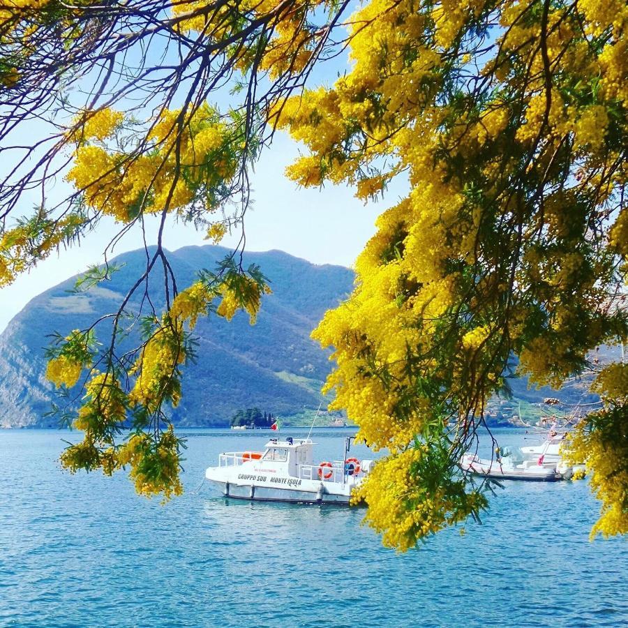 Appartamento Irina'S House With View On Like And Swimming Pool Riva di Solto Esterno foto