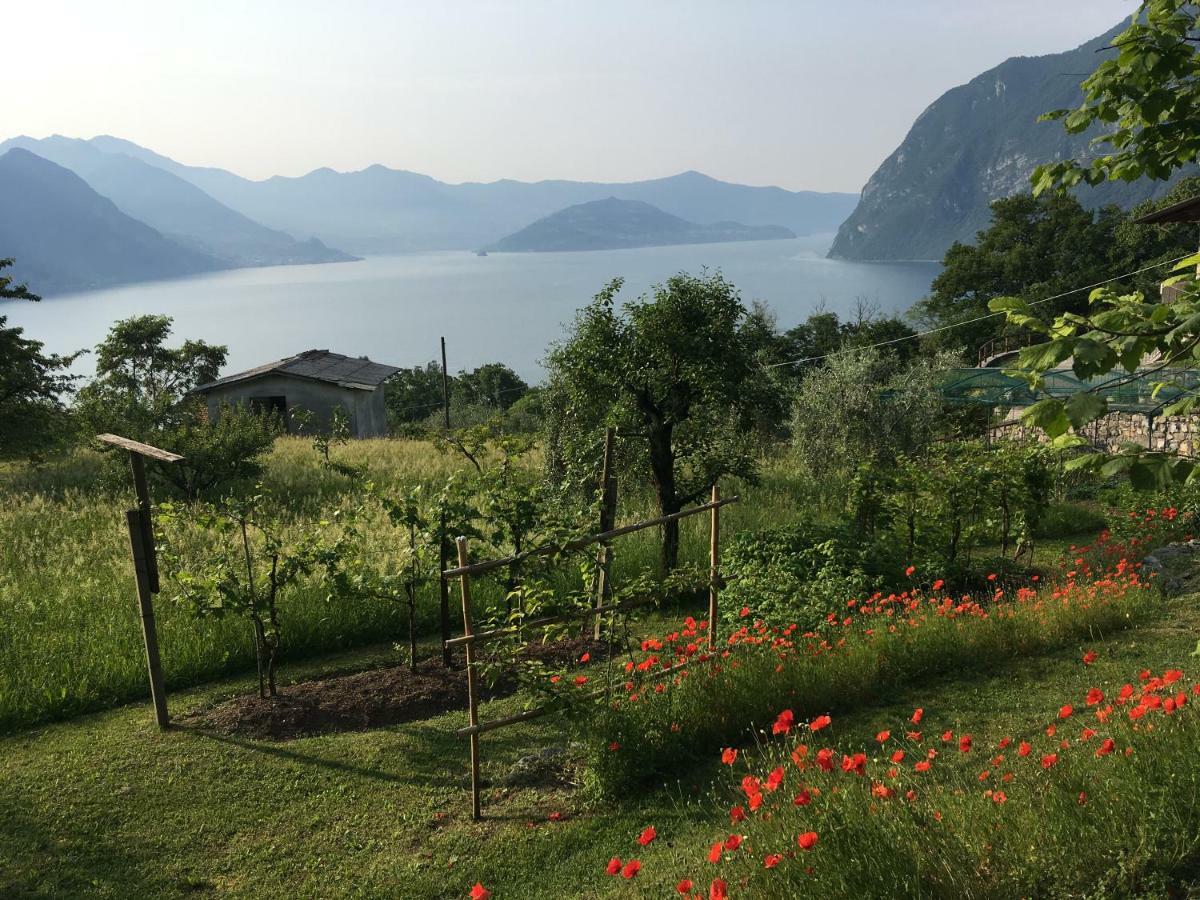 Appartamento Irina'S House With View On Like And Swimming Pool Riva di Solto Esterno foto